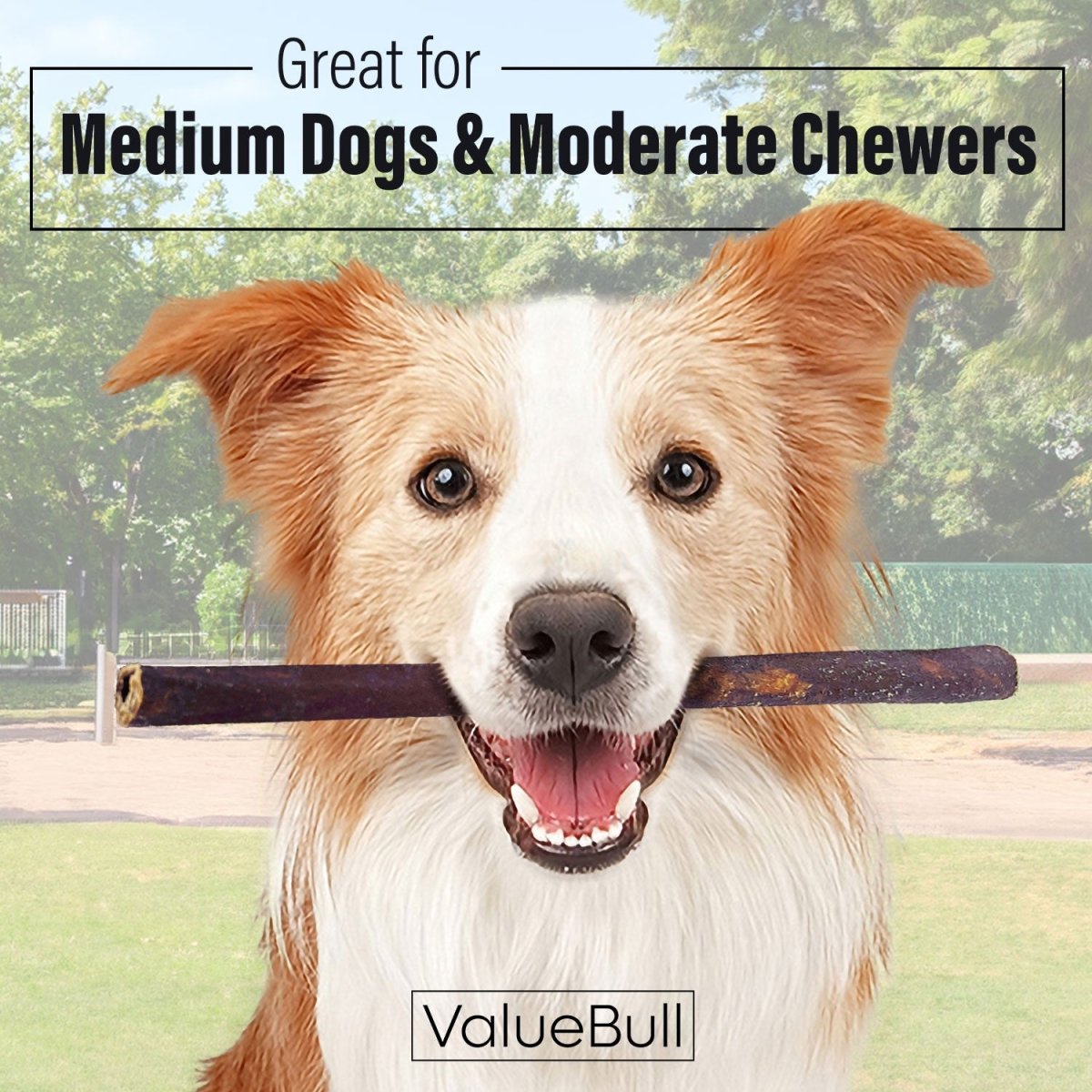 ValueBull Collagen Sticks for Dogs, 12 Inch Medium Chews, Natural Long-Lasting Dog Treats, 10 Count