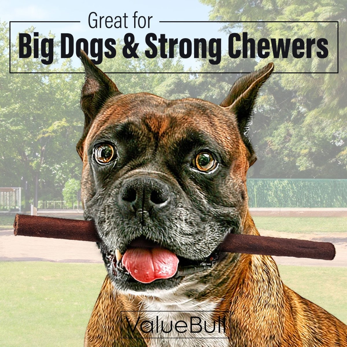 ValueBull Beef Collagen Sticks for Dogs, 12 Inch Thick Chew, 10 Count