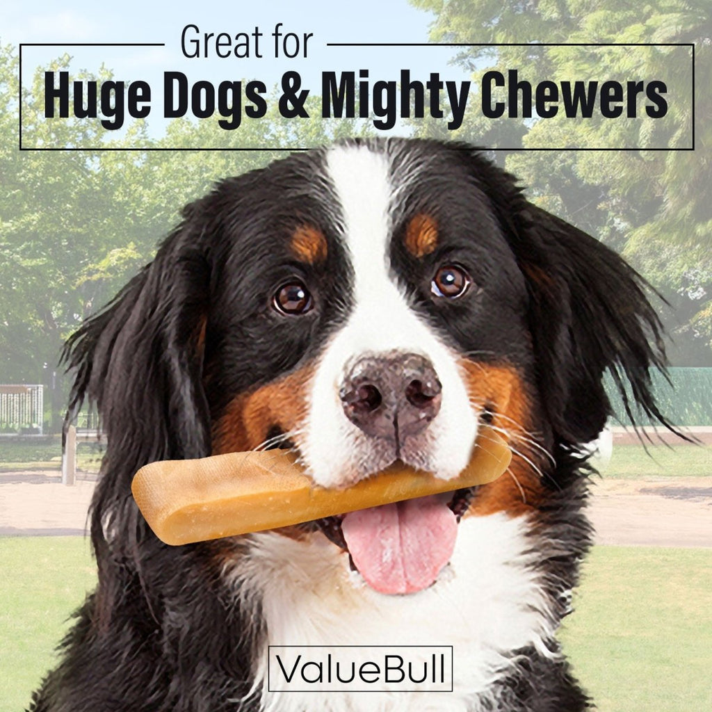 ValueBull Himalayan Yak Cheese Dog Chews, Extra Extra Large, 4 Pound