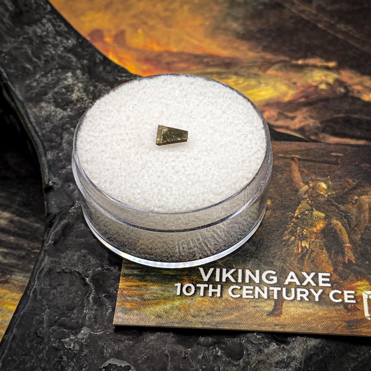 Viking Axe Classic Riker Box Specimen