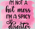 Sarcasm Spicy Disaster - STK05356 (DTF Transfers)